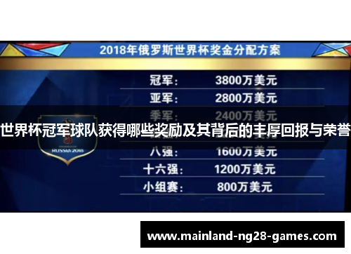世界杯冠军球队获得哪些奖励及其背后的丰厚回报与荣誉