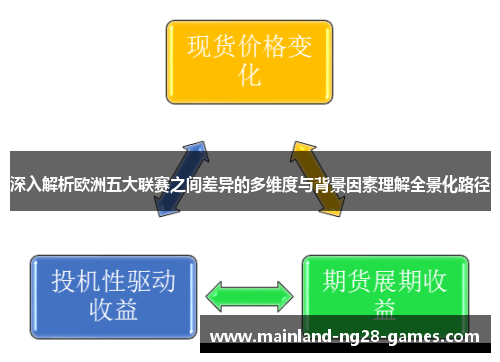 深入解析欧洲五大联赛之间差异的多维度与背景因素理解全景化路径