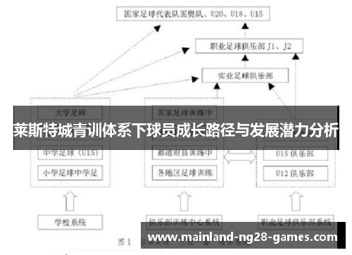 莱斯特城青训体系下球员成长路径与发展潜力分析