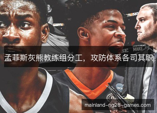 孟菲斯灰熊教练组分工，攻防体系各司其职
