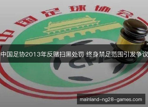 中国足协2013年反赌扫黑处罚 终身禁足范围引发争议 中国足协2013年反赌扫黑处罚 终身禁足范围引发争议